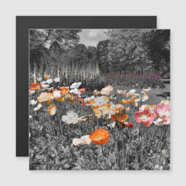 バララット植物園フローラ表示磁石