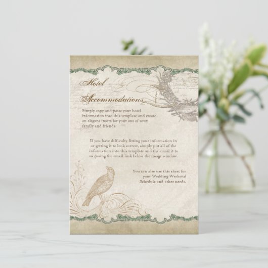 バララフランスのブバードヴィンテージレースアップルグリーン エンクロージャーカード (スタンド正面)