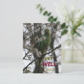 バラリングインコのカスタム・回復おめでとう・ポストカード ポストカード (スタンド正面)