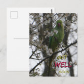 バラリングインコのカスタム・回復おめでとう・ポストカード ポストカード (正面/裏面)