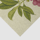 バラリンゴ植物性プリント 薄葉紙 (詳細)