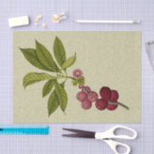 バラリンゴ植物性プリント 薄葉紙 (クラフト)