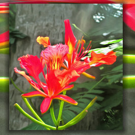 バラルタフレーミング美しい1583アートプリント ポスター