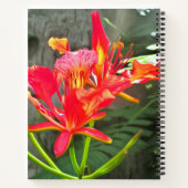 バラルタフレーミング美しい1583 ノートブック (裏面)