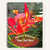 バラルタフレーミング美しい1583 ノートブック (正面)