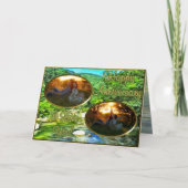 バラルタ川周年記念0366 カード (正面)