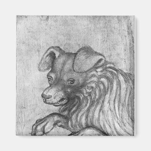 バラルディ・アルバムの犬の頭 マグネット (正面)