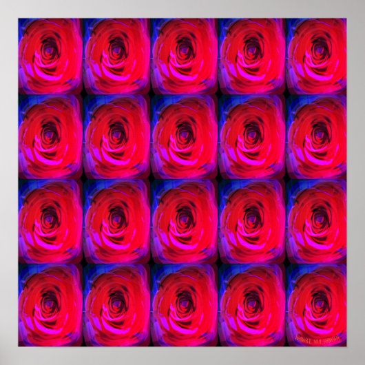 バラレッド・マイアミ、ポスター ポスター (正面)