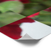 バラロートブルーム ポスター (角)