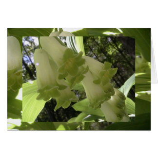 バランスの単一性