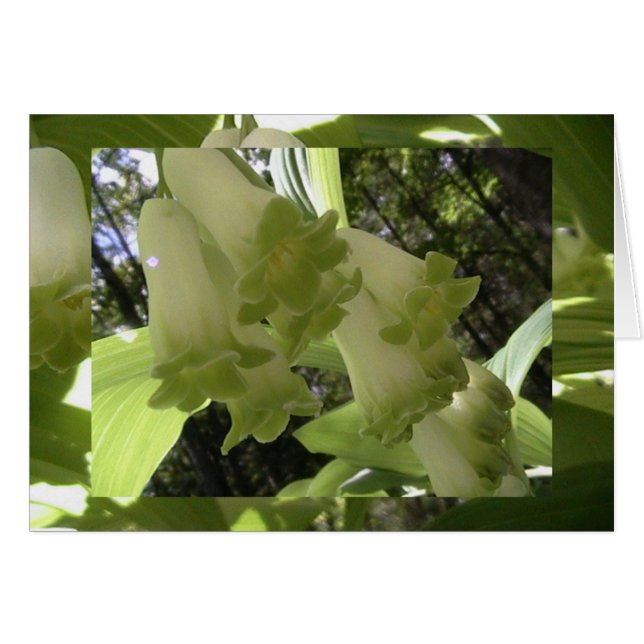 バランスの単一性 (正面横)