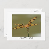 バランスの取れたトンボはがき ポストカード (正面/裏面)