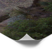 バランスの取れた岩 – ビッグベンド、テキサス州 ポスター (角)