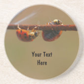 バランスをとるてんとう虫の自然の飲み物のコースター コースター (正面)