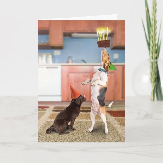 バランスをとるケーキ カード (正面)