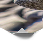 バランスポスター ポスター (角)