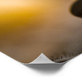 バランスポスター ポスター (角)