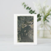 バランスロックビュー下のブリッジ ポストカード (スタンド正面)