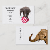 バランス象 名刺 (正面/裏面)