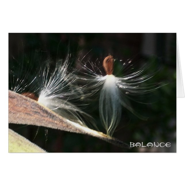 バランス (正面横)