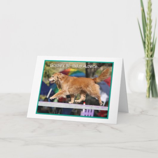 「バランス」のゴールデン・リトリーバーの敏捷のバースデー・カード カード (正面)