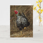 "バランス" – 干し草の一つの足に納屋周囲の庭チキン カード (黄色い花)