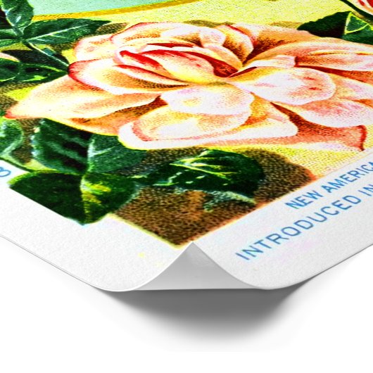 バラヴィンテージ花種会社 ポスター (角)