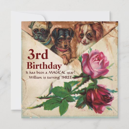 バラ付き3つのDOGGIES，第3誕生日分与 招待状 (正面)