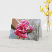 バラ凍っていグリーティングカード カード (黄色い花)