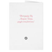 バラ反射サンキューカード (裏面)