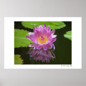 バラ反射 ポスター (正面)