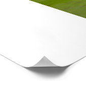 バラ反射 ポスター (角)