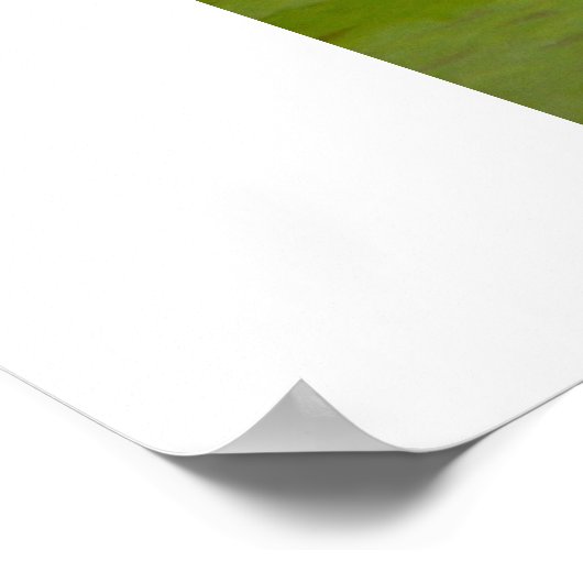 バラ反射 ポスター (角)