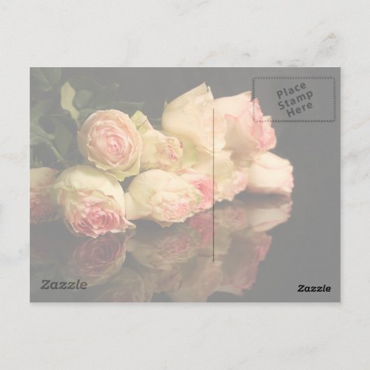 バラ反射 ポストカード (裏面)