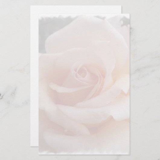 バラ固定 便箋 (正面/裏面)