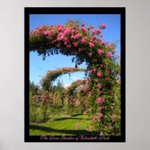 バラ園エリザベス・パークのポスター ポスター