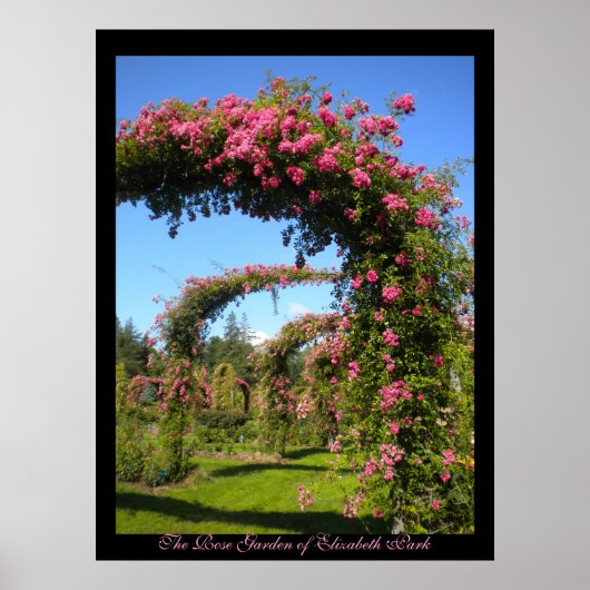 バラ園エリザベス・パークのポスター ポスター (正面)