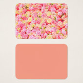 バラ園 (正面&裏面)