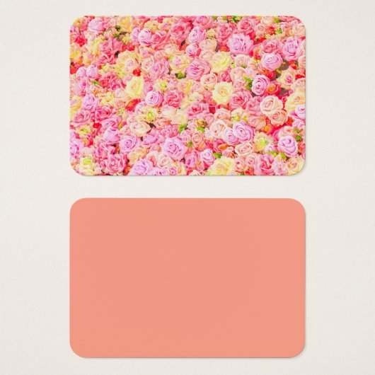 バラ園 (正面&裏面)