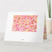 バラ園 カード (裏面)