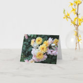 バラ園 カード (黄色い花)