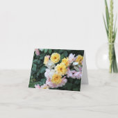 バラ園 カード (正面)