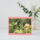 バラ園 ポストカード (スタンド正面)