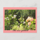 バラ園 ポストカード (正面)