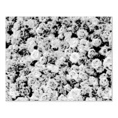 バラ園 ラバースタンプ (インプリント)