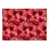 バラ場 (正面横)