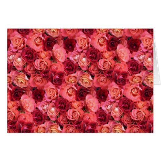 バラ場 (正面横)