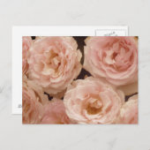 バラ大切はがき ポストカード (正面/裏面)
