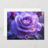 バラ女王 ポストカード (正面/裏面)