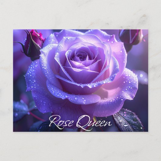 バラ女王 ポストカード (正面)